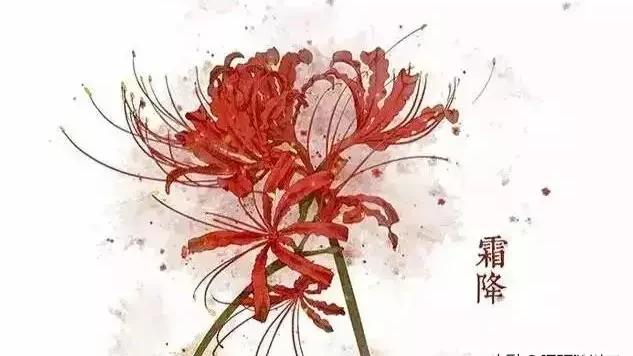 关于彼岸花的诗歌有哪些现代诗