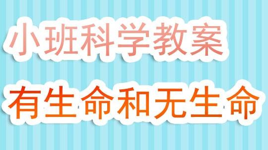 小班科学活动教学反思精选