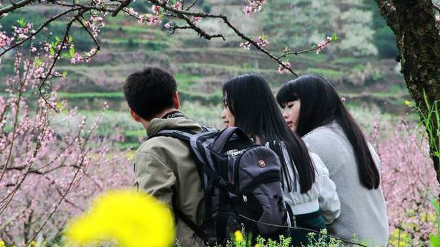 感恩老师的诗句经典十句