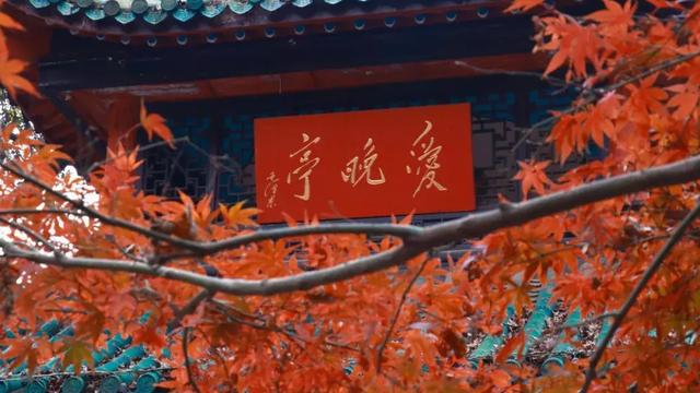 朋友依依惜别的诗句有哪些