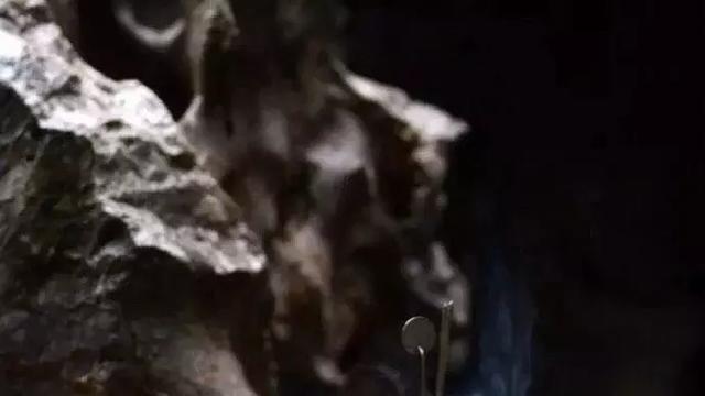 经典诗句励志人生感悟