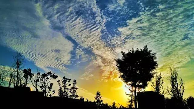 《文化苦旅》读后感