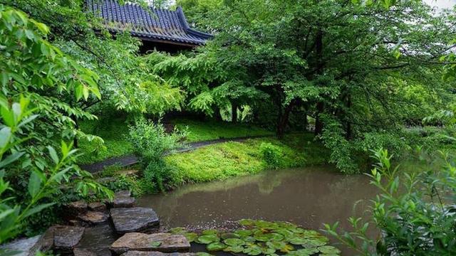 雨落无声作文300字通用