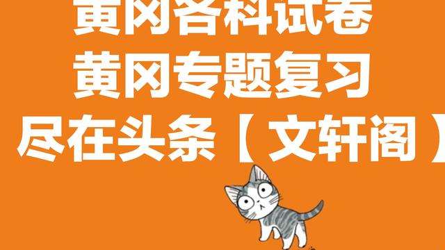 桃花心木读后感