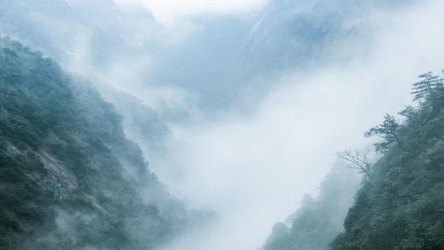 描写国画的诗句简短