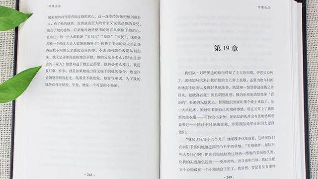 呼啸山庄好词好句摘抄