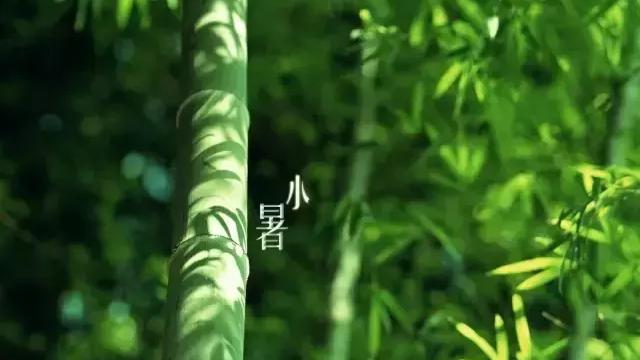 关于小暑的古诗词大全