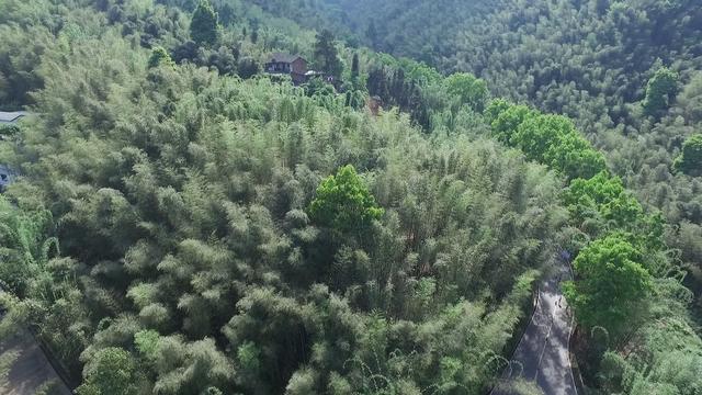 蜀南竹海 湖光水影中的翡翠长廊,竹风竹雨里有丝丝凉意