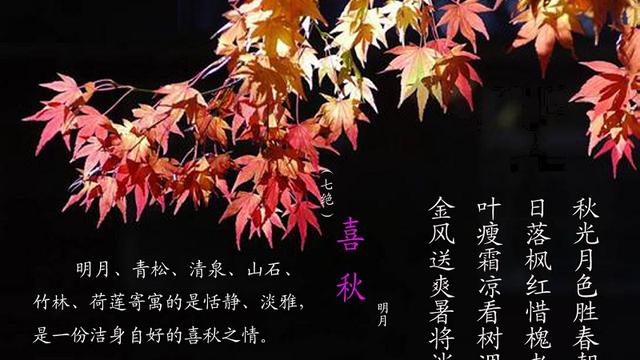 有关喜秋的诗句有哪些