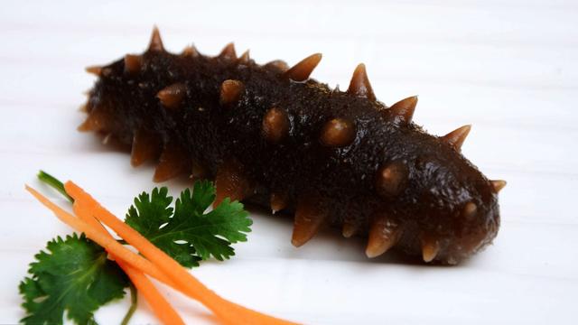 海参的功效与作用