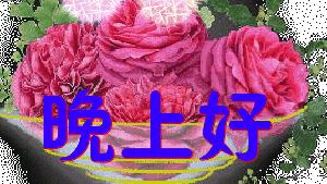 最新温馨晚安感言汇总精选