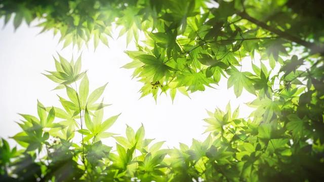 生态文明宣传活动总结精选