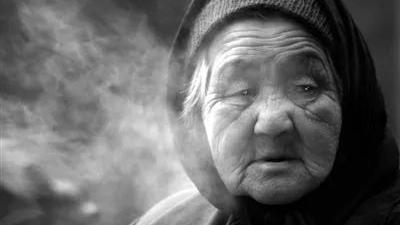 肖复兴母亲阅读题答案
