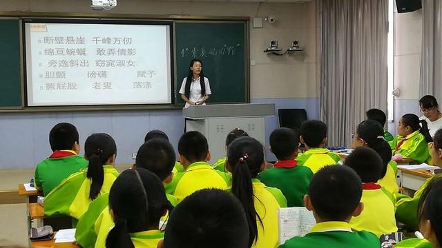 关于《索溪峪的野》这篇课文的教学反思（通用）