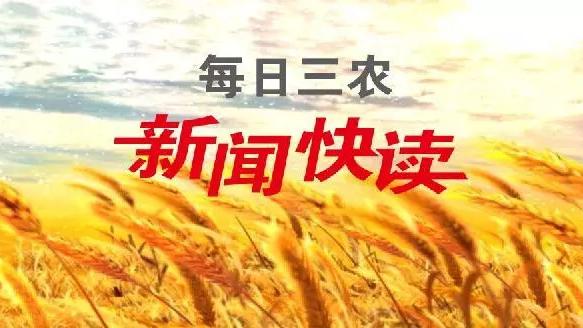 丰收节活动预算方案精选