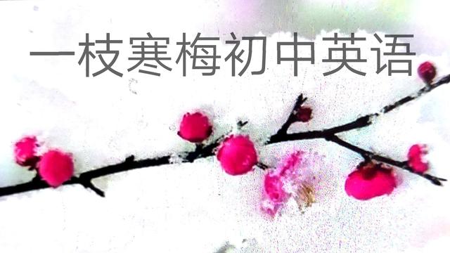 which引导定语从句怎么用