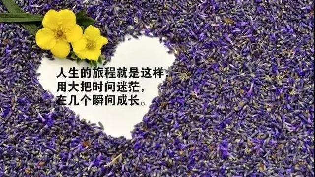 看淡身边朋友的说说文案