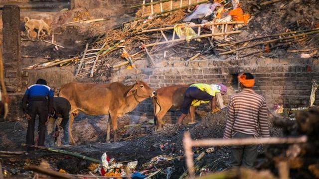 瓦拉纳西:印度人最向往的朝圣地和死亡地