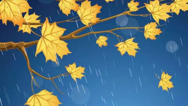 秋风秋雨的诗句古诗大全