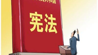 七五普法规划大全