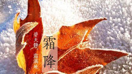描写秋霜的诗句常见