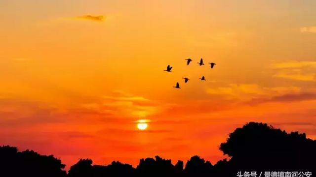 描写夕阳的诗句晚霞