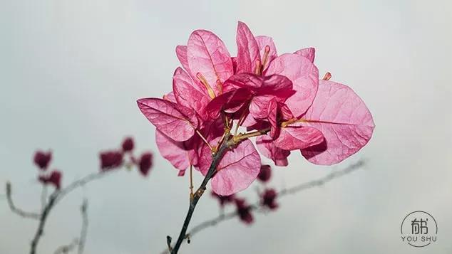 羁绊的解释及造句