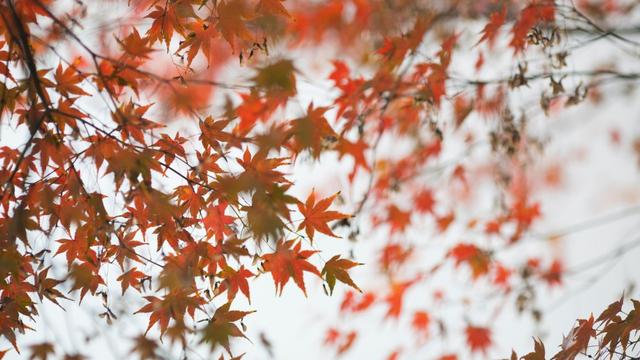 描写雨的诗句柳永