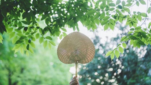 大暑阴雨的诗句