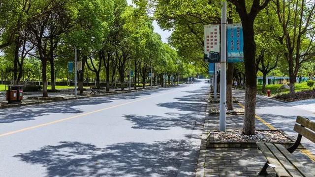 面试推荐信