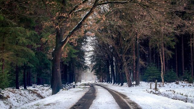 冬雪雪冬小大寒(1)