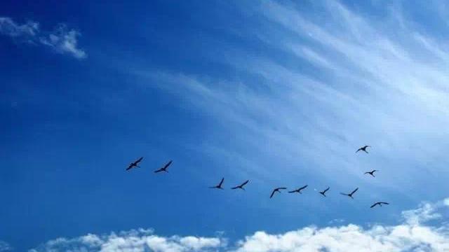 李白关于立秋最著名的古诗