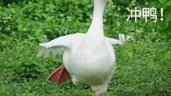 童年精彩片段摘抄高尔基