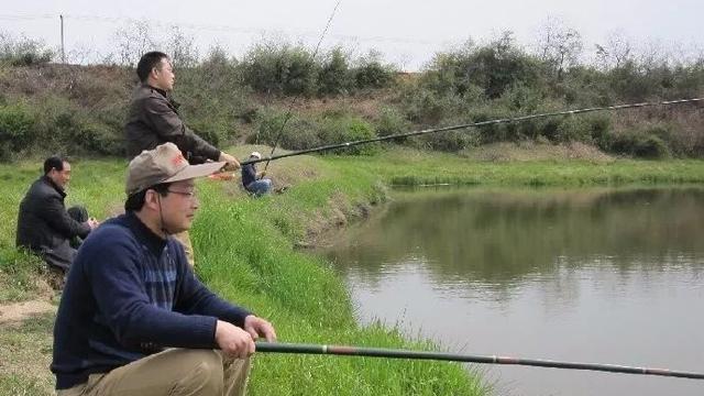 野塘钓鱼技巧大揭秘