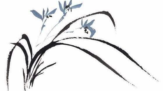 兰花的诗句