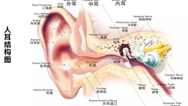 怎样潜水时耳朵才不会痛