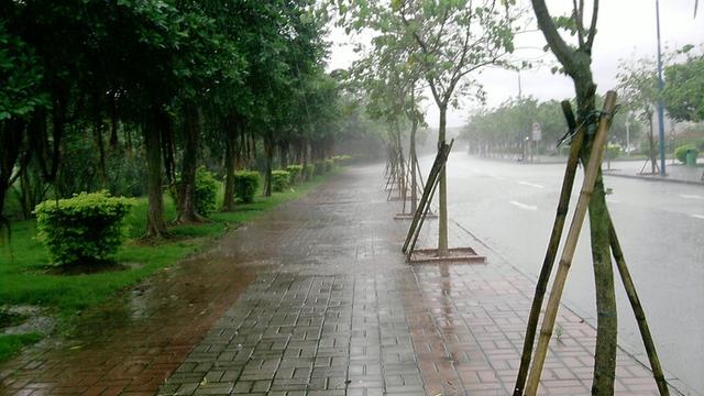 雷阵雨作文以上