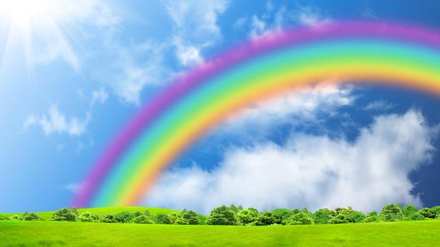 风雨之后是彩虹作文600字