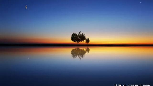 家乡的苹果树作文