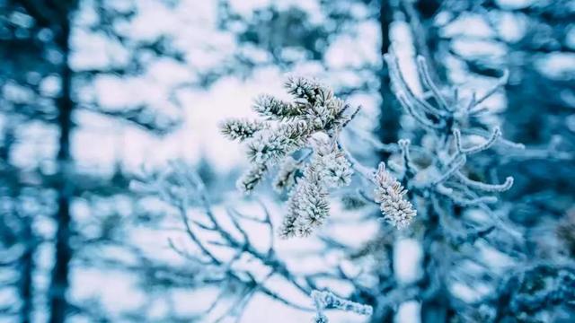 关于雪的古诗词