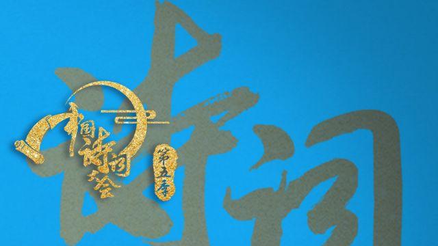 观看中国诗词大会观后感400字