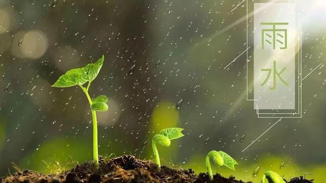 雨停了的优美诗句