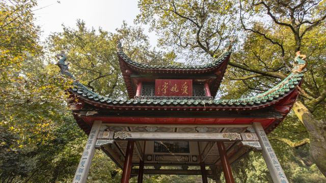 中国诗词大会作文开头