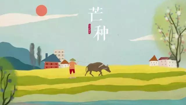 芒种古诗100首