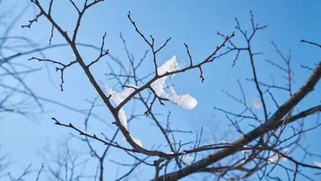 校宿玩小雪10篇