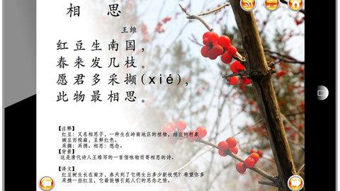 红豆王维古诗