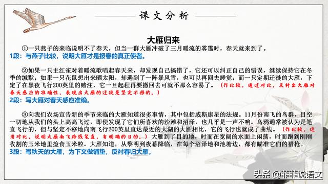 《大雁归来》教学设计精选