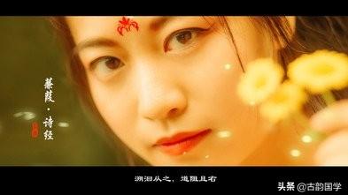 小雅蓼莪诗经注音