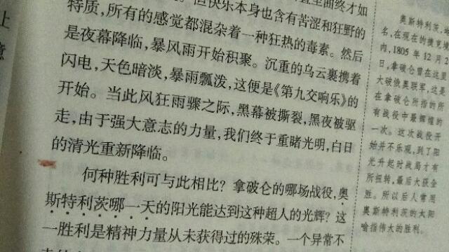 贝多芬传读后感精选