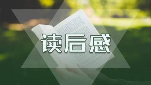 老人与海读书心得800字优秀